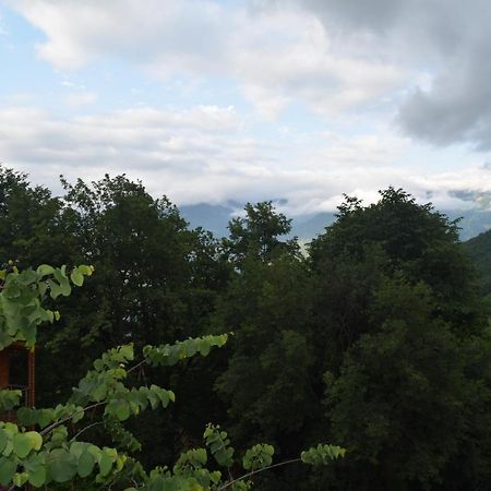 Mars Otel Artvin Buitenkant foto