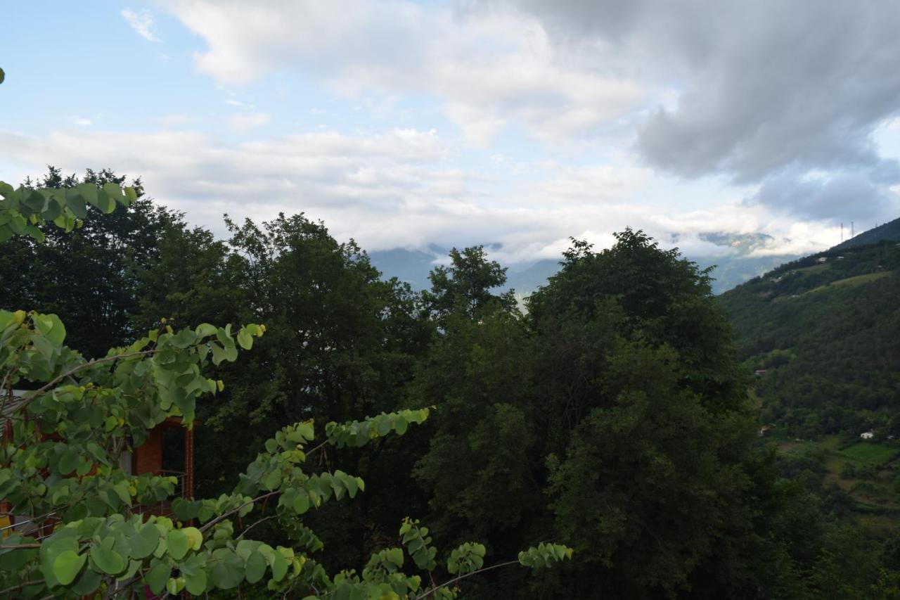 Mars Otel Artvin Buitenkant foto