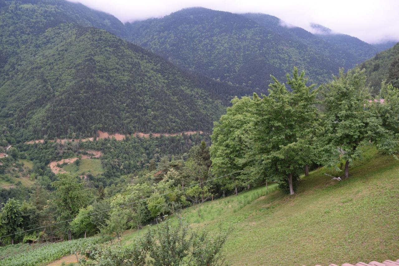 Mars Otel Artvin Buitenkant foto