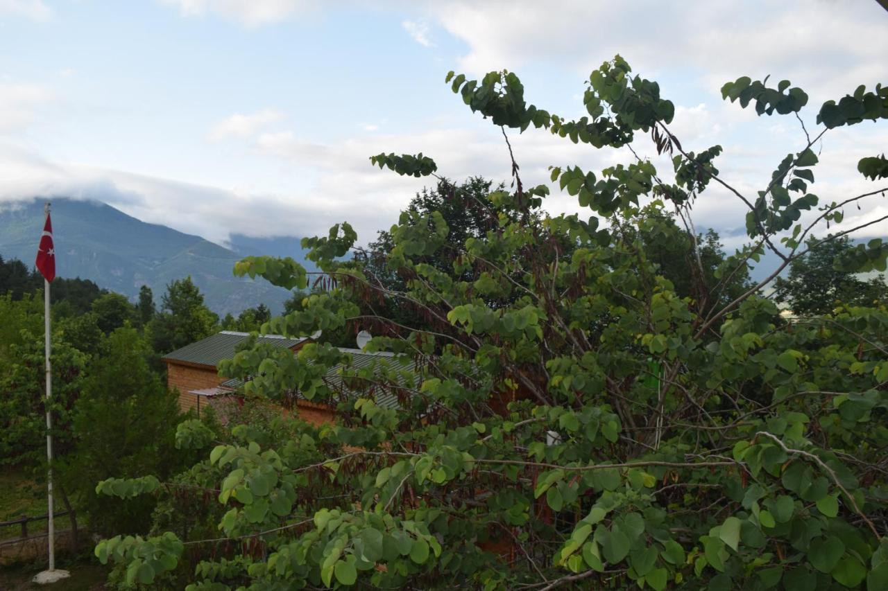Mars Otel Artvin Buitenkant foto
