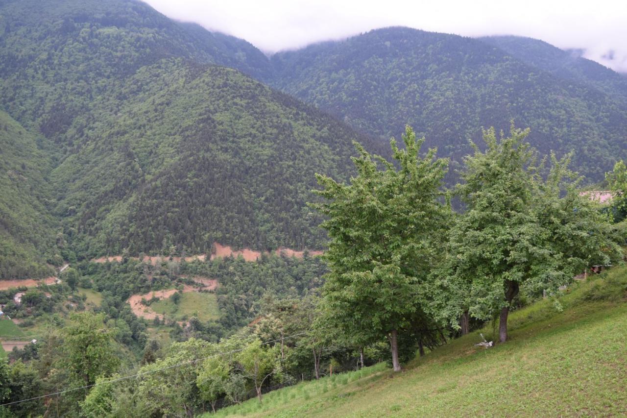 Mars Otel Artvin Buitenkant foto