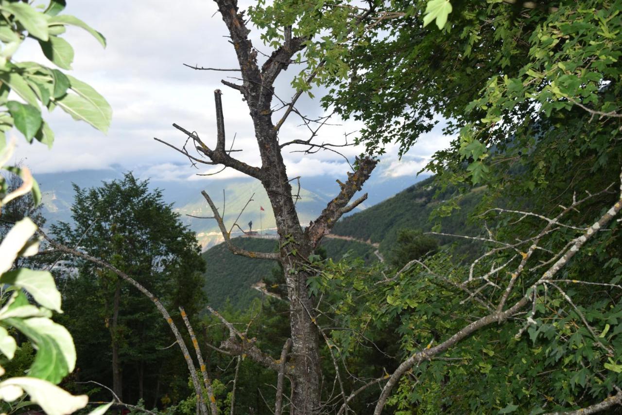Mars Otel Artvin Buitenkant foto