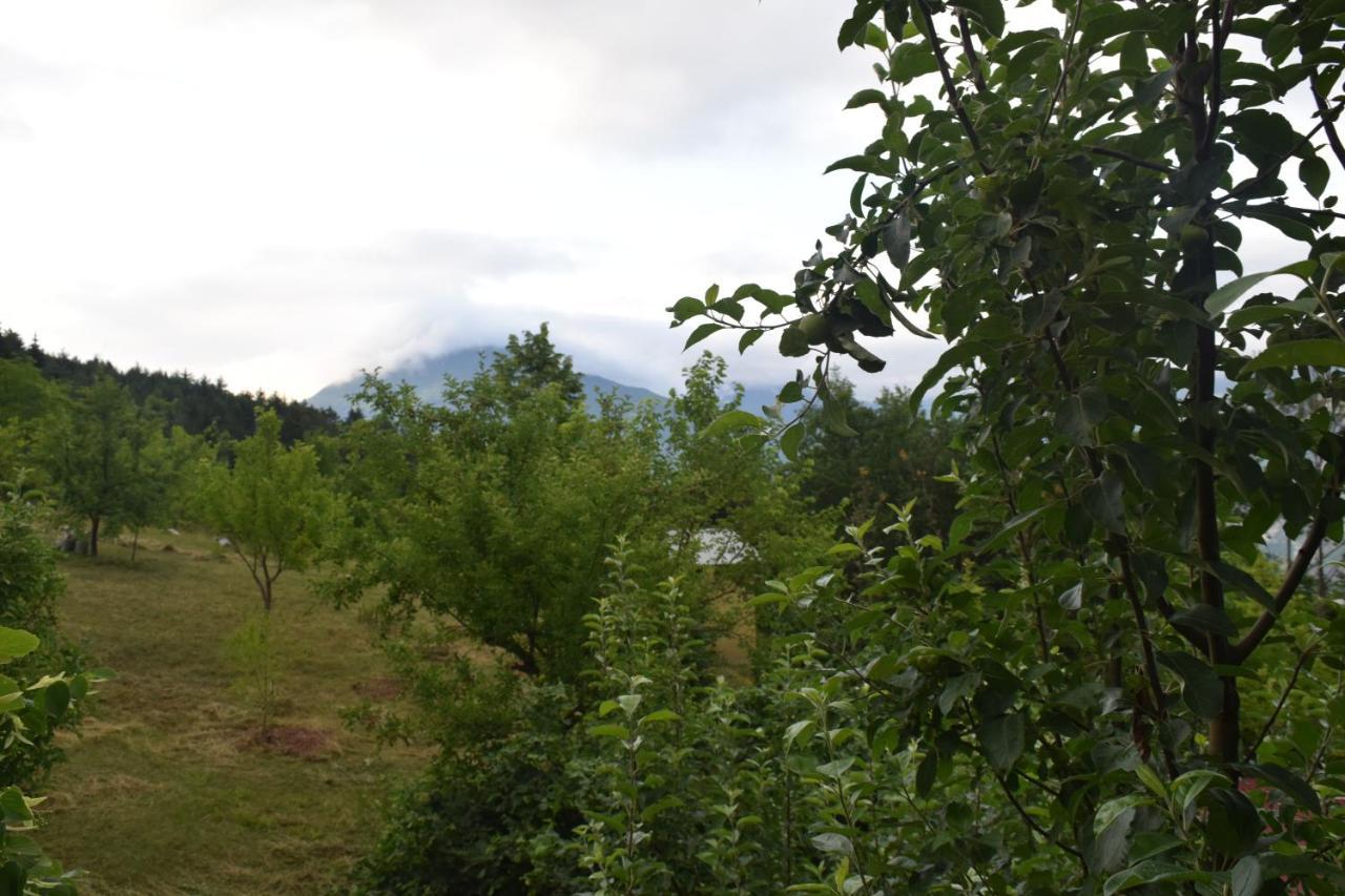 Mars Otel Artvin Buitenkant foto