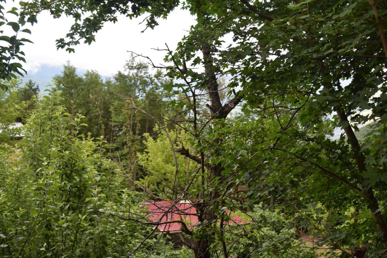 Mars Otel Artvin Buitenkant foto