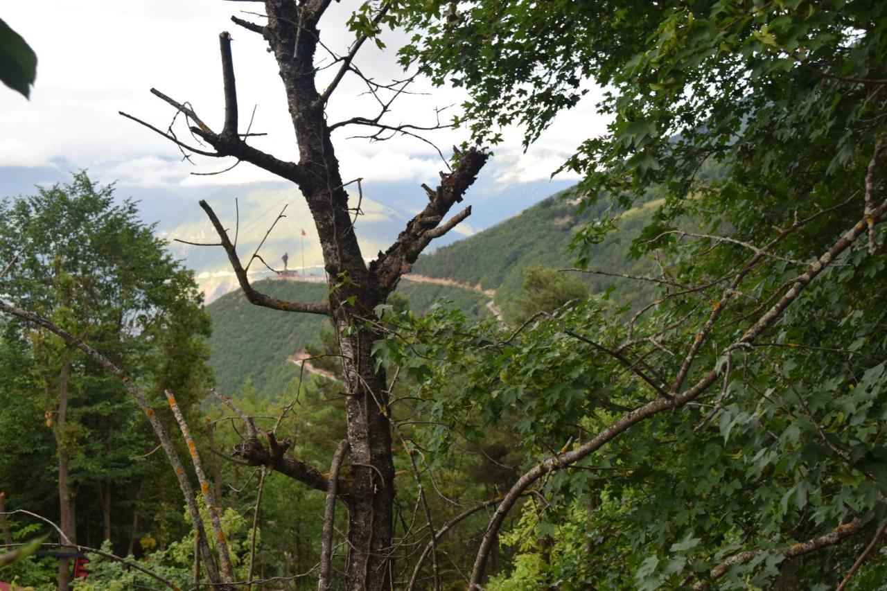 Mars Otel Artvin Buitenkant foto