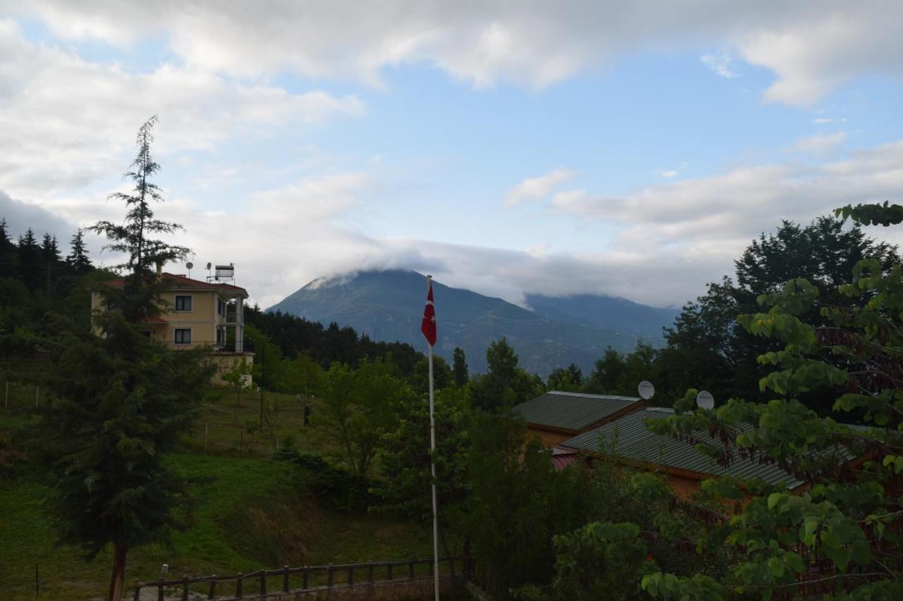 Mars Otel Artvin Buitenkant foto