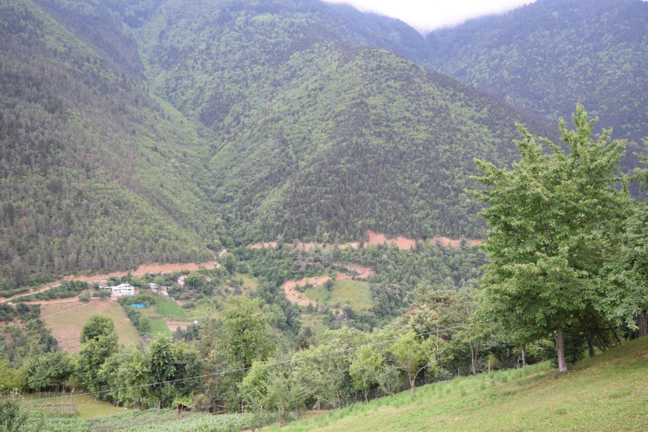 Mars Otel Artvin Buitenkant foto