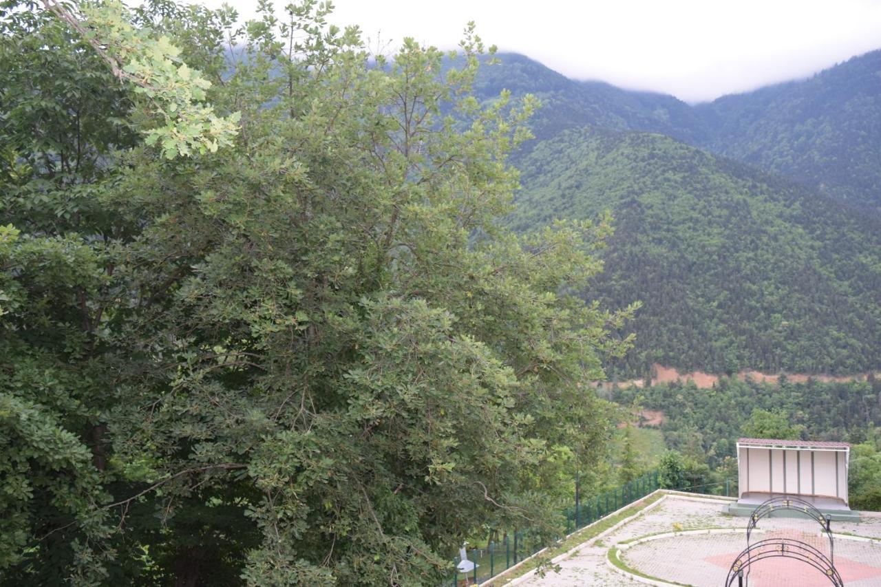 Mars Otel Artvin Buitenkant foto
