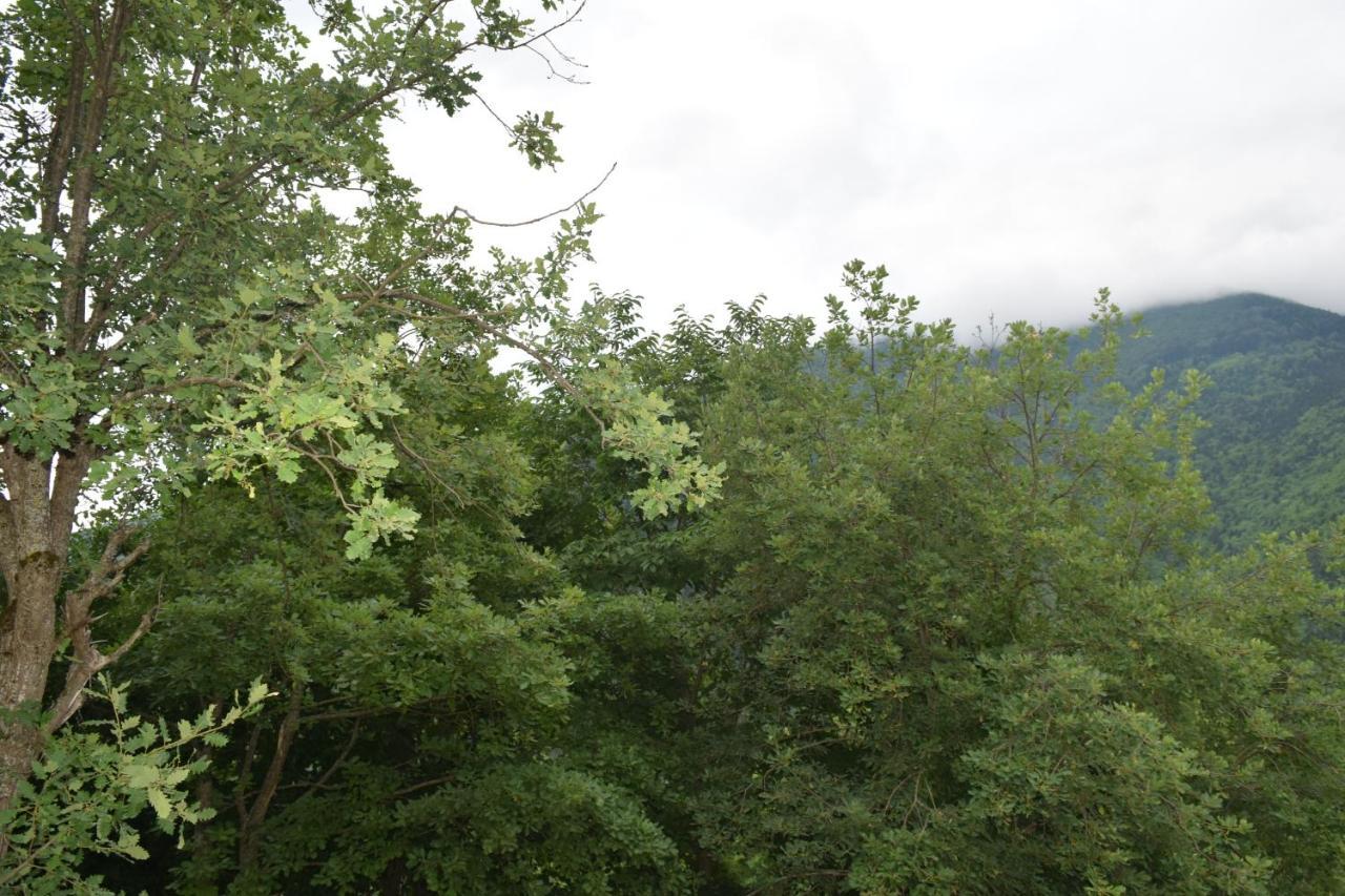 Mars Otel Artvin Buitenkant foto